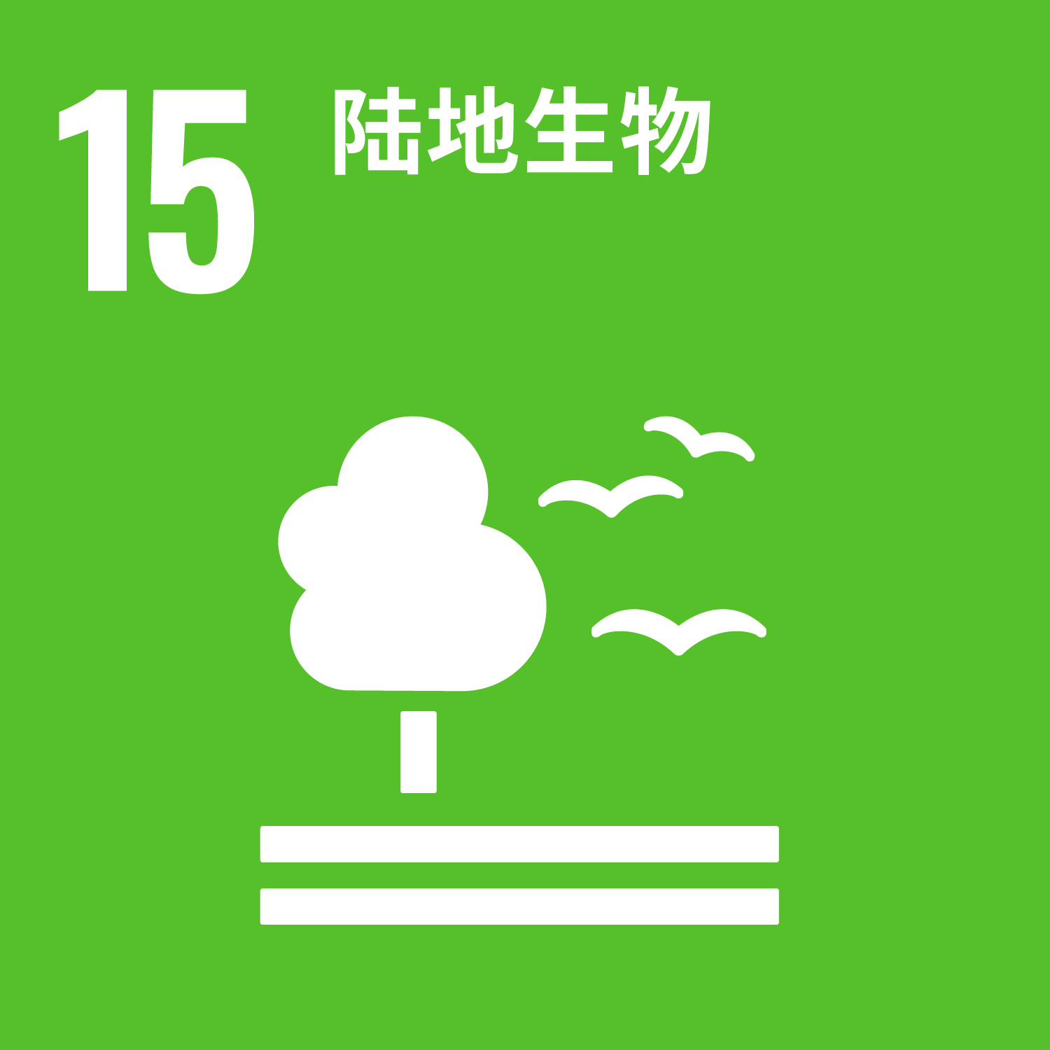 陆地生物