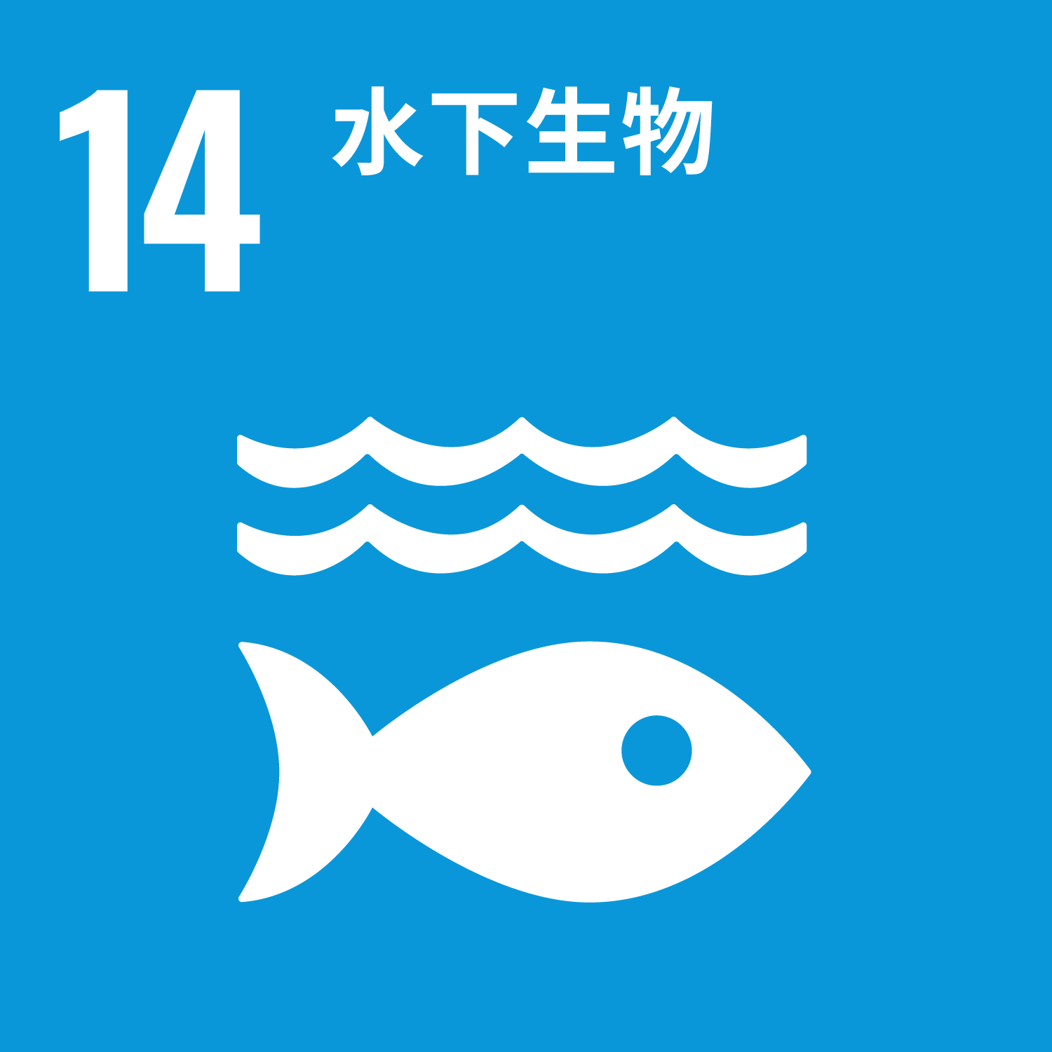 水下生物